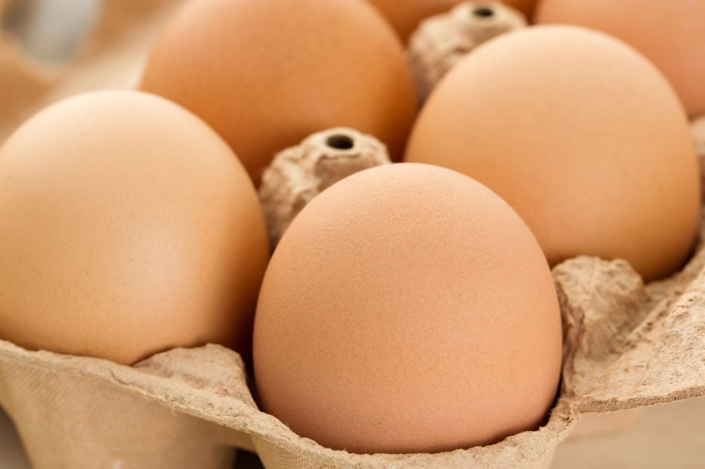 Salmonella found in eggs