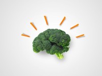 14 Foods That Increase Your Intelligence