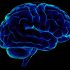 How To Keep Your Brain Healthy For a Mental Well-Being
