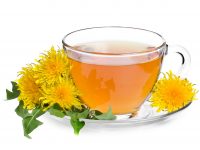 Dandelion Tea and Weight Loss – Guide