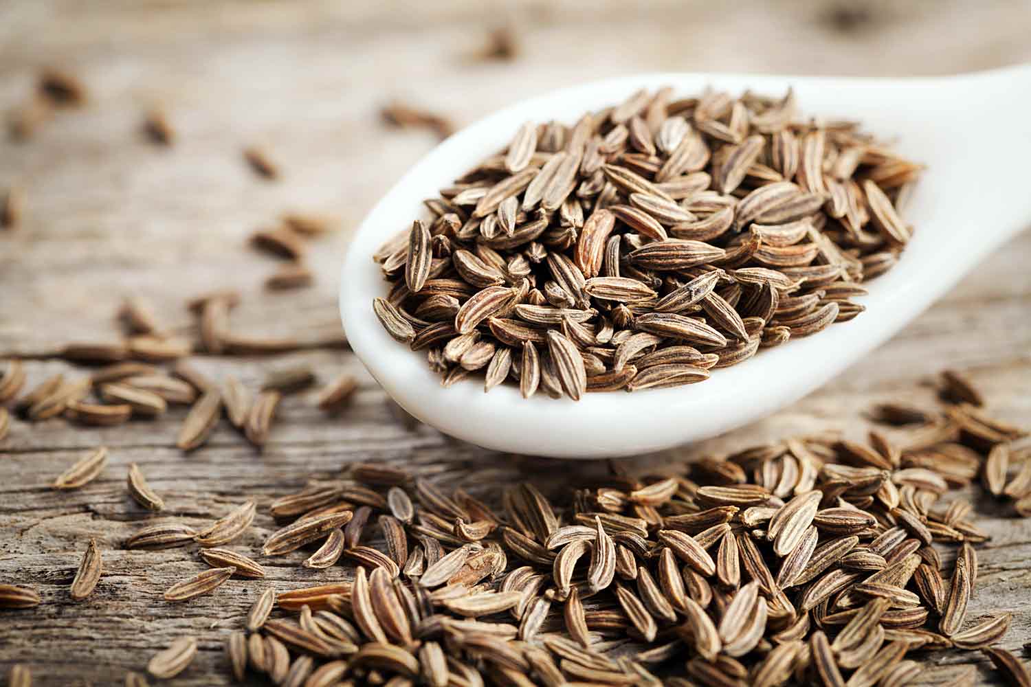 Can Cumin Help You Lose Weight? Lifespan